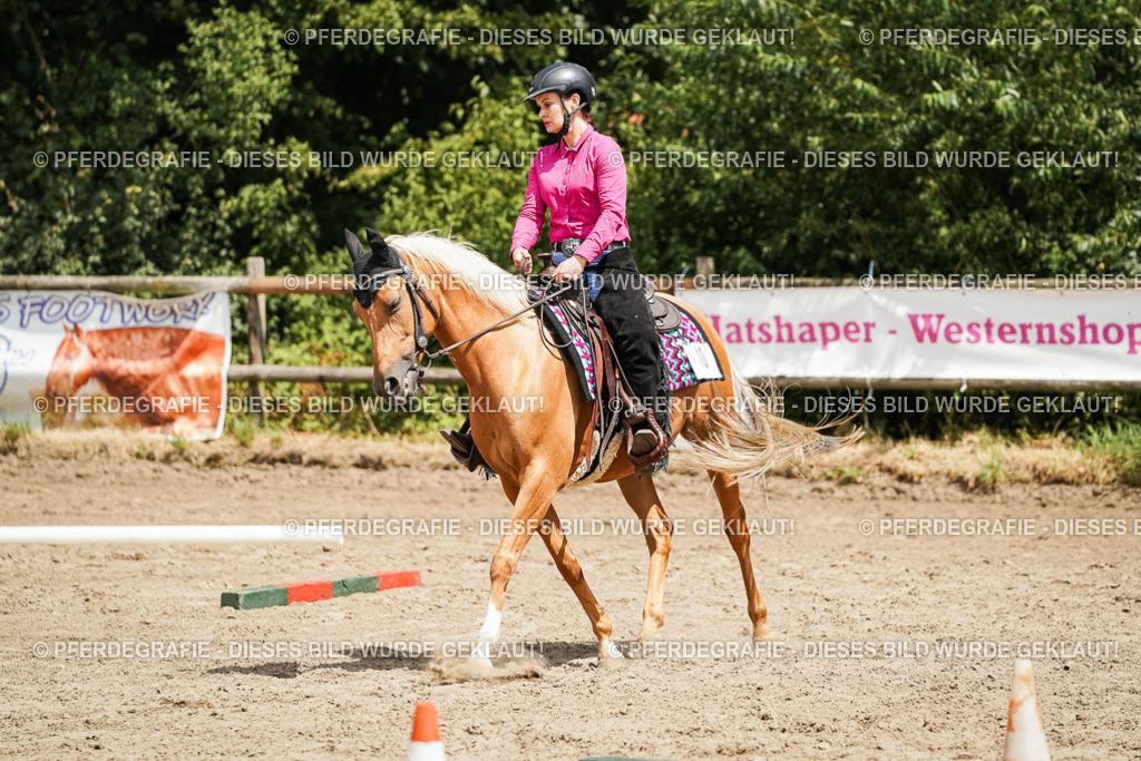 DSC08042 | Pferdegrafie