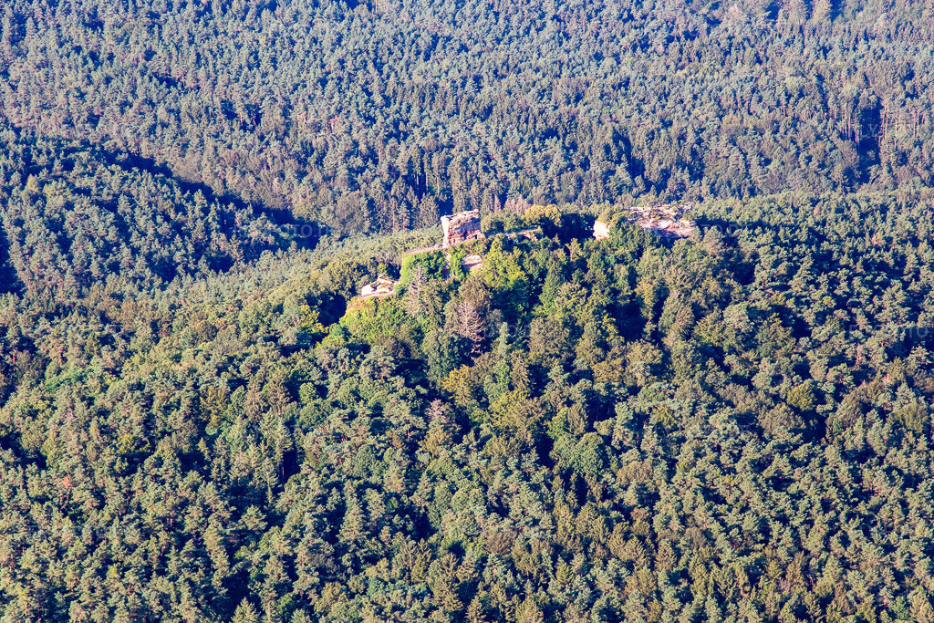 Luftbild: Runie der Burg Drachenfels in Busenberg im Bundesland Rheinland-Pfalz in Deutschland. Foto: IMG_143193.jpg vom 06.08.2024 durch Werner Riehm/FLY-FOTO.deWWW.WANDERPARADIES-WASGAU.DE