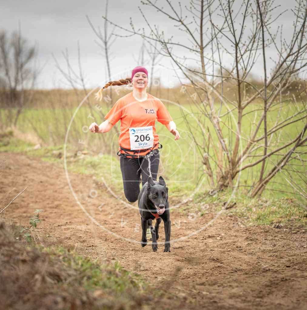 DV3A2560 | Hundefotografie, Tierfotograf, Pfotenfotografie, Fotoshooting Hund, Hunde Portrait, Hundesport, Hundeportraits, Heideshooting, Hunde, Sportfotograf, Hundefotograf, Turnierhundsport, THS,  - Realisiert mit Pictrs.com