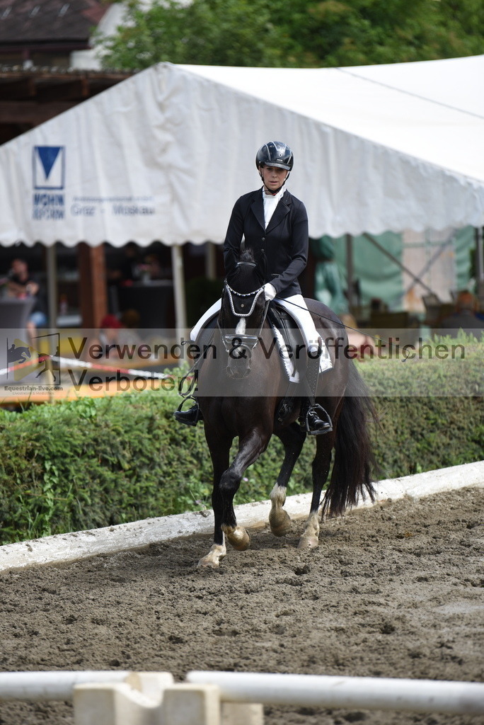 DSC_0552 | equestrian-live-com