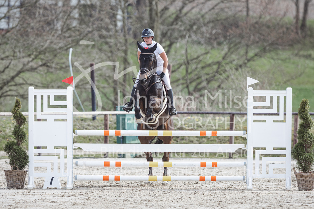 220413_LateEntry_MzH_SprPf-L-107 | Frühlingsfest der Pferde 
Outdoor Late Entry in Herford 
Springpferde-L
Springpferde-M*