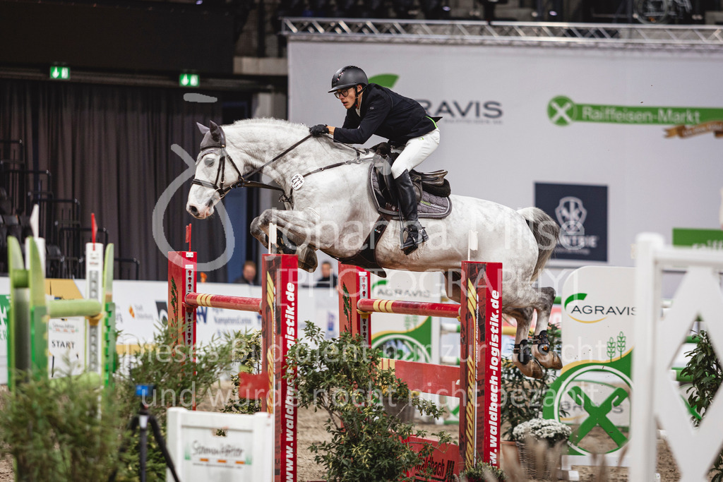 241103_Oldenburg_FinaleMittlereTour-229 | Deine schönsten Turniermomente als professionelle Fotos! Entdecke hochwertige Pferdesport-Fotografie im Online-Shop. Jetzt Fotos finden & bestellen!