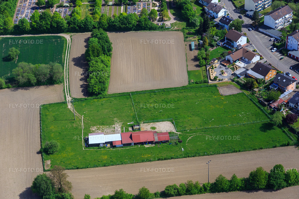 Luftbild: Pferdekoppel in Hagenbach im Bundesland Rheinland-Pfalz in Deutschland. Foto: IMG_078521.jpg vom 08.05.2015 durch Werner Riehm/FLY-FOTO.de