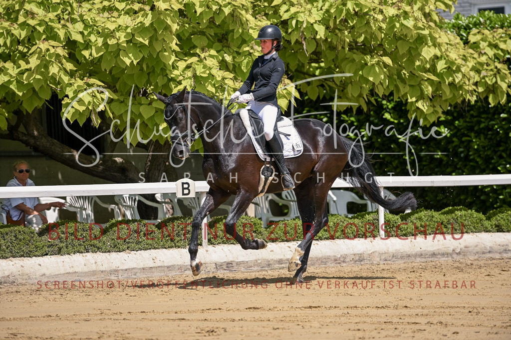 Schugtsche-Aluta25-48.Reitpferfdeprf.-225 | Schugtsche Fotografie - Realisiert mit Pictrs.com