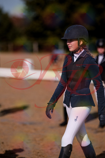 2026_10_03_Siefer-Hof_124810_Z81_40996240 | Professionelle Reitsport-, Turnier- und Eventfotografie von Robert Broda. Galerien mit ausgewählten und bearbeiteten Bildern direkt online ansehen und bestellen.