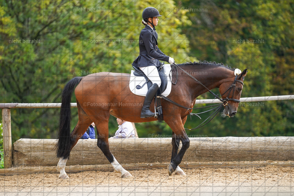 20221008-FAH01168 | Diessen am Ammersee, 2022, Dressur- und Springturnier, Reitsportbilder, Turnierfotografen Bayern, Pferdefotografen, Fotoagentur Herrmann, Turnierbilder