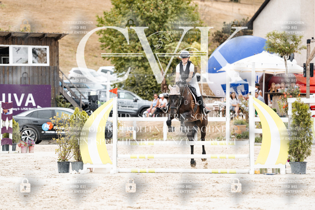 CK908572 | Turnierfotografie Pferdefotografie Trier Rheinland-Pfalz Pferdesport Reitsport Tierfotografie Sportfotografie Pferdevideo Pferdevideografie Equestrianvideography equestrianphotography  - Realisiert mit Pictrs.com