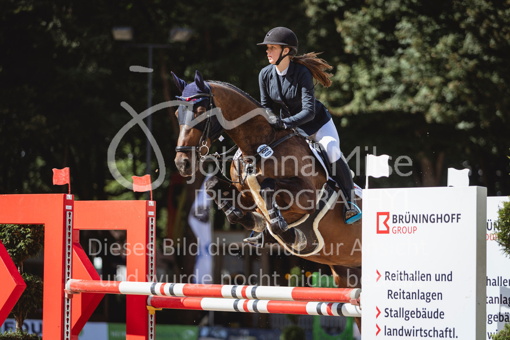 240912_OWLCh_AmateurS-283 | Deine schönsten Turniermomente als professionelle Fotos! Entdecke hochwertige Pferdesport-Fotografie im Online-Shop. Jetzt Fotos finden & bestellen!