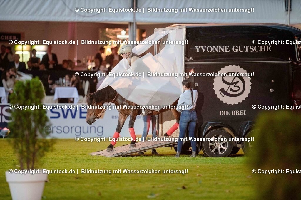 20250606_Lange-Pferdenacht_0941 | Foto: Thomas Hartig