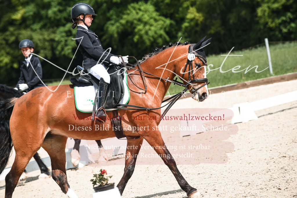 20230518_JK-Röhrsdorf-11-0764 | Pferde- und Turnierfotografie in Westsachsen. Pferdeportraits, Auftragszeichnungen und intuitive Kunst.