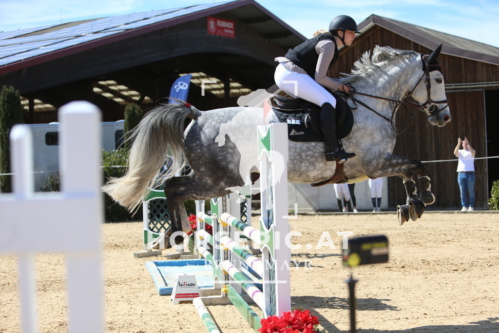 DL2Q6030 | Willkommen bei Brunnmayr - Design & Fotografie – Ihrem Spezialisten für Reitturniere und Pferdeveranstaltungen in Oberösterreich, Salzburg und Bayern! Seit über 17 Jahren sind wir leidenschaftlich dabei.