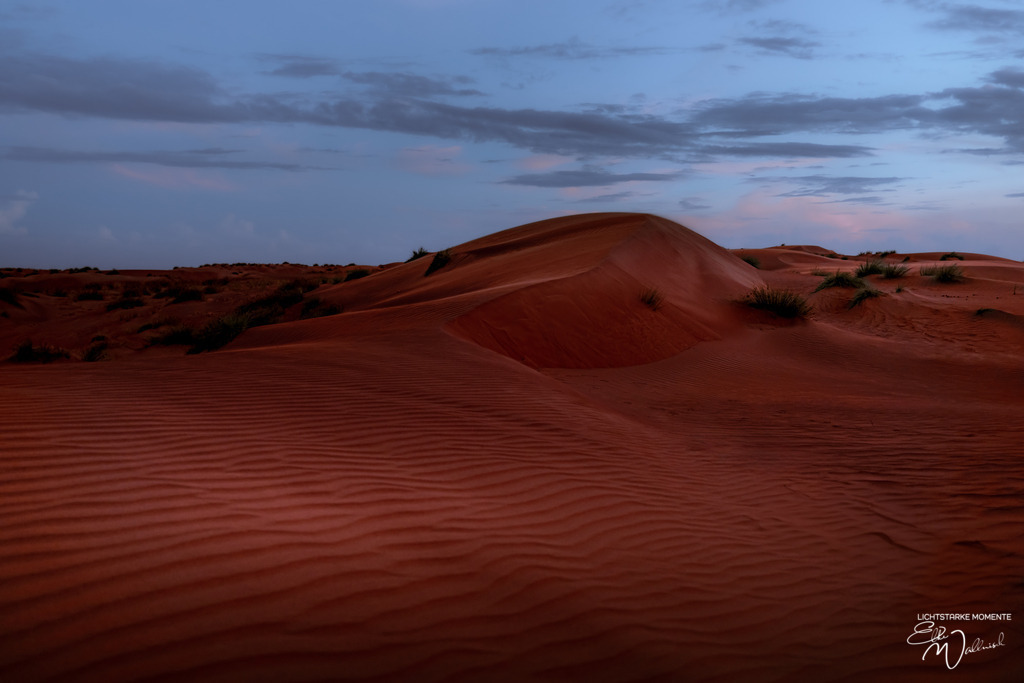 Al Salam Desert Camp, Al Qabil, Bidiyya, Oman | Herzlich willkommen auf meiner Seite! Ich bin Elke Wallnisch, Deine Fotografin für lichtstarke Momente. Der Name steht für alles, was mich mit der Fotografie verbindet: Das Licht und seine machtvolle Wirkung auf eine Situation oder unsere Stimmung - Realisiert mit Pictrs.com