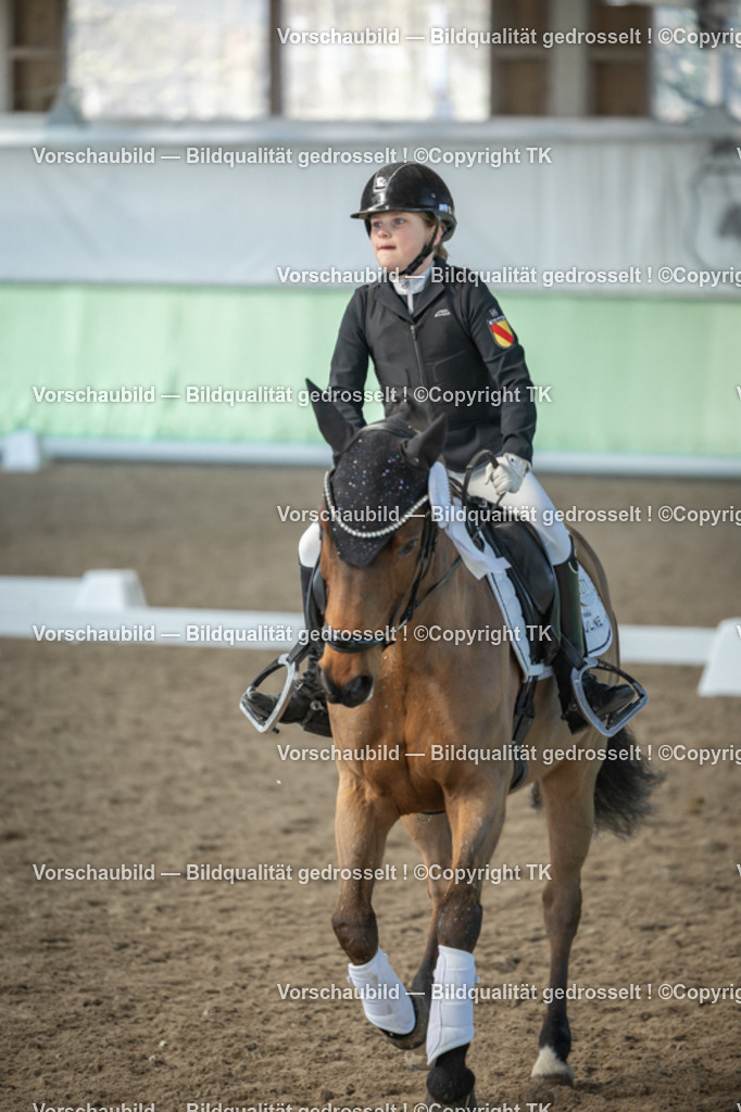 _D5A8637 | Emotionale Pferde- & People-Fotografie rund um Heidelberg, Leimen & Umgebung. Natürliche Fotos von Pferd, Mensch & Familie. Jetzt Termin sichern!