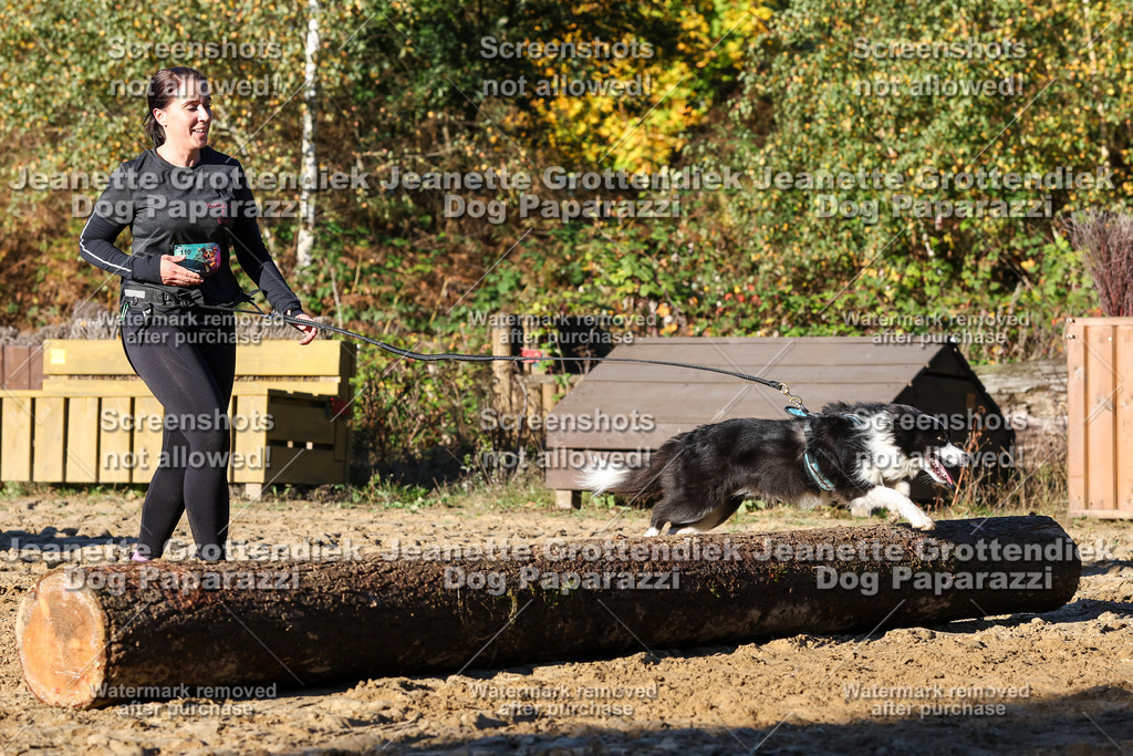 Dog Paparazzi - Strongdog 10-25-1416 | Dog Paparazzi Jeanette Grottendiek Fotografie & Videografie - Realisiert mit Pictrs.com