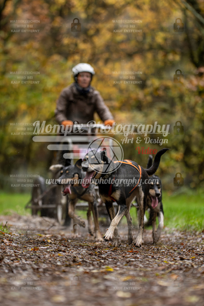 MompixPhotography_Bischwiller23_Kart-13 | PayLife