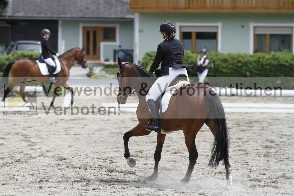 _MG_8886 | equestrian-live-com