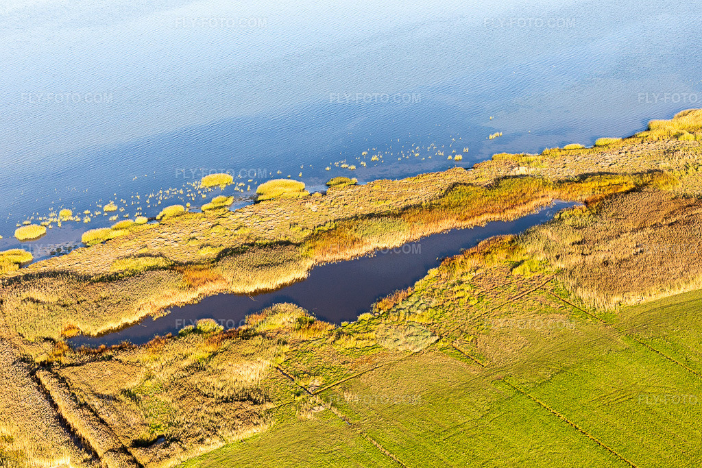 Aerial view: Wadden Sea National Park in Fanø in the state South Denmark, Denmark.Photo: IMG_118860.jpg taken on 09/21/2019 by Werner Riehm/FLY-FOTO.comResolution of the original: 5472 x 3648 px