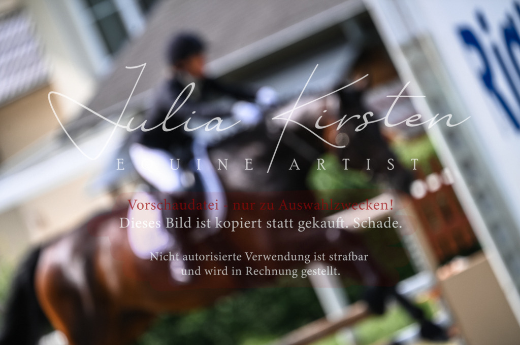 DSC_8326 | Pferde- und Turnierfotografie in Westsachsen. Pferdeportraits, Auftragszeichnungen und intuitive Kunst.