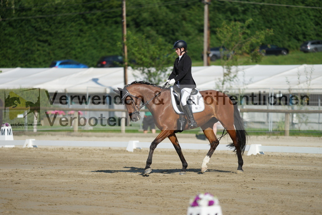 DSC04042 | equestrian-live-com