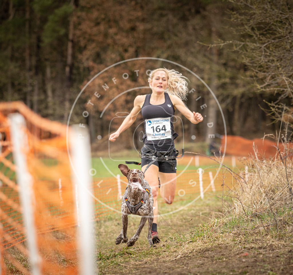 DV3A2039 | Hundefotografie, Tierfotograf, Pfotenfotografie, Fotoshooting Hund, Hunde Portrait, Hundesport, Hundeportraits, Heideshooting, Hunde, Sportfotograf, Hundefotograf, Turnierhundsport, THS,  - Realisiert mit Pictrs.com