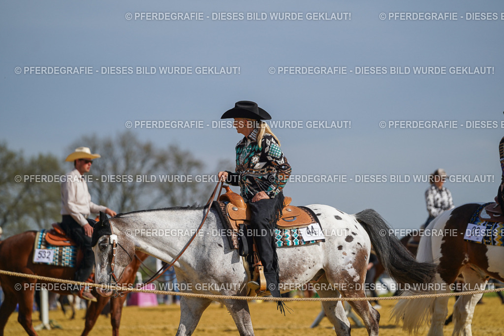 DSC01293 | Pferdegrafie