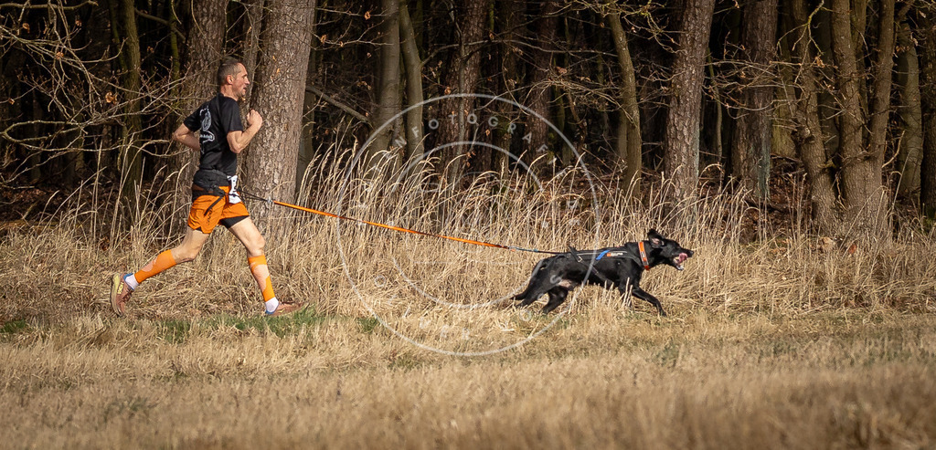 DV3A3977 | Hundefotografie, Tierfotograf, Pfotenfotografie, Fotoshooting Hund, Hunde Portrait, Hundesport, Hundeportraits, Heideshooting, Hunde, Sportfotograf, Hundefotograf, Turnierhundsport, THS,  - Realisiert mit Pictrs.com