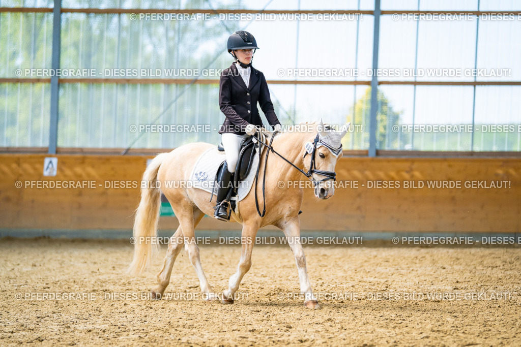 DSC09593 | Pferdegrafie