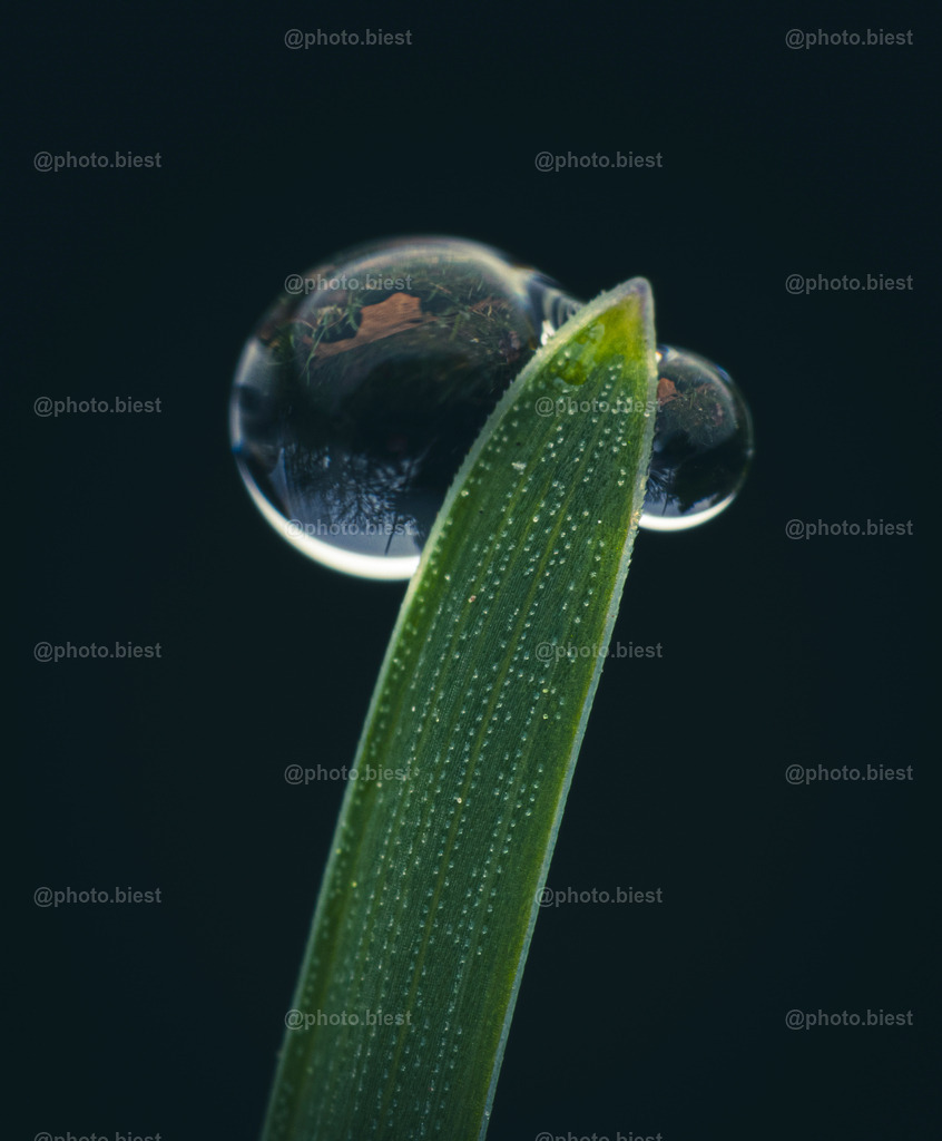 IMGC1087 | photobiest - Realisiert mit Pictrs.com