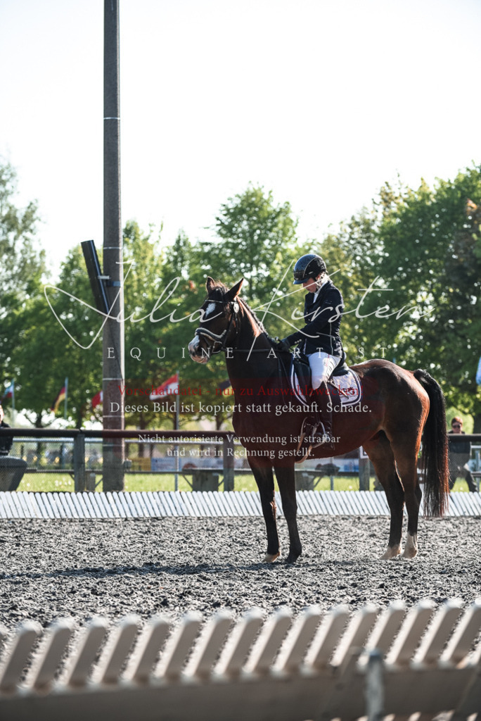 DSC_8279 | Pferde- und Turnierfotografie in Westsachsen. Pferdeportraits, Auftragszeichnungen und intuitive Kunst.