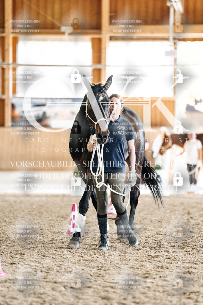 CK908426 | Turnierfotografie Pferdefotografie Trier Rheinland-Pfalz Pferdesport Reitsport Tierfotografie Sportfotografie Pferdevideo Pferdevideografie Equestrianvideography equestrianphotography  - Realized with Pictrs.com
