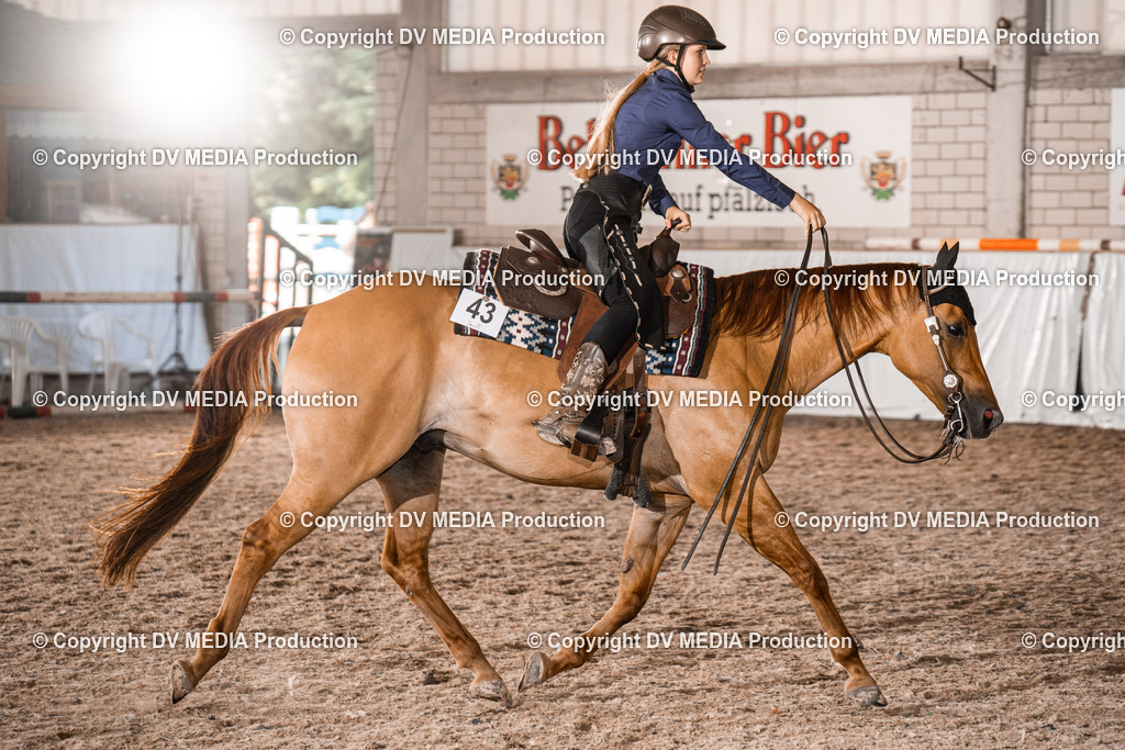 ZH300590 | dv-media-shop - Realisiert mit Pictrs.com