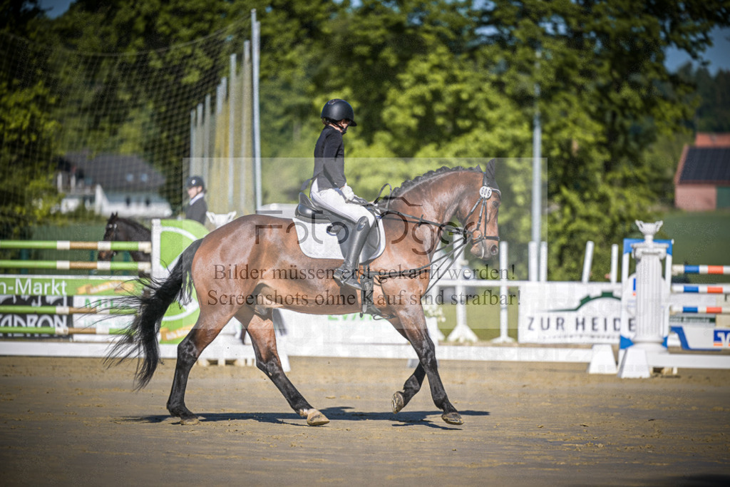 DOS_2979 | Entdecke hochwertige Reitturnierfotos von Foto Oger. Professionell, emotional und authentisch – jetzt Lieblingsmomente im Shop bestellen.Deutschlandweite Turnierfotografie. - Realisiert mit Pictrs.com