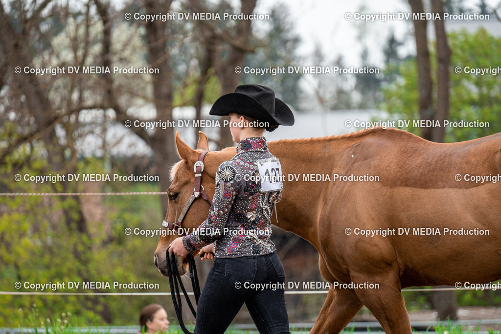 BA300097 | dv-media-shop - Realisiert mit Pictrs.com