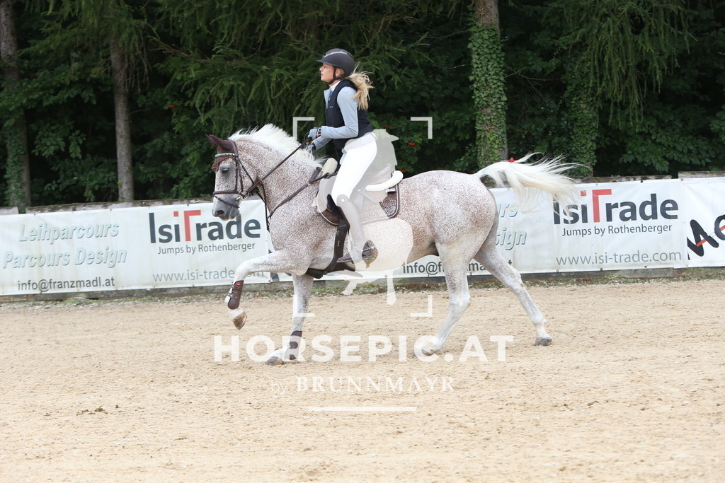 DL2Q1425 | Willkommen bei Brunnmayr - Design & Fotografie – Ihrem Spezialisten für Reitturniere und Pferdeveranstaltungen in Oberösterreich, Salzburg und Bayern! Seit über 17 Jahren sind wir leidenschaftlich dabei.