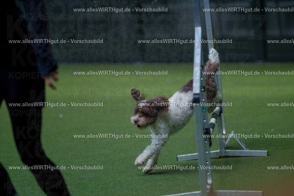 @allesWIRTHgut_Tierfotografie - www.allesWIRTHgut.de - 2604261451-7R503881 | Professionelle Tierfotografie in Mönchengladbach von Daniel Wirth (allesWIRTHgut). Liebevolle & natürliche Bilder von Hunden & Katzen für unvergessliche Erinnerungen.