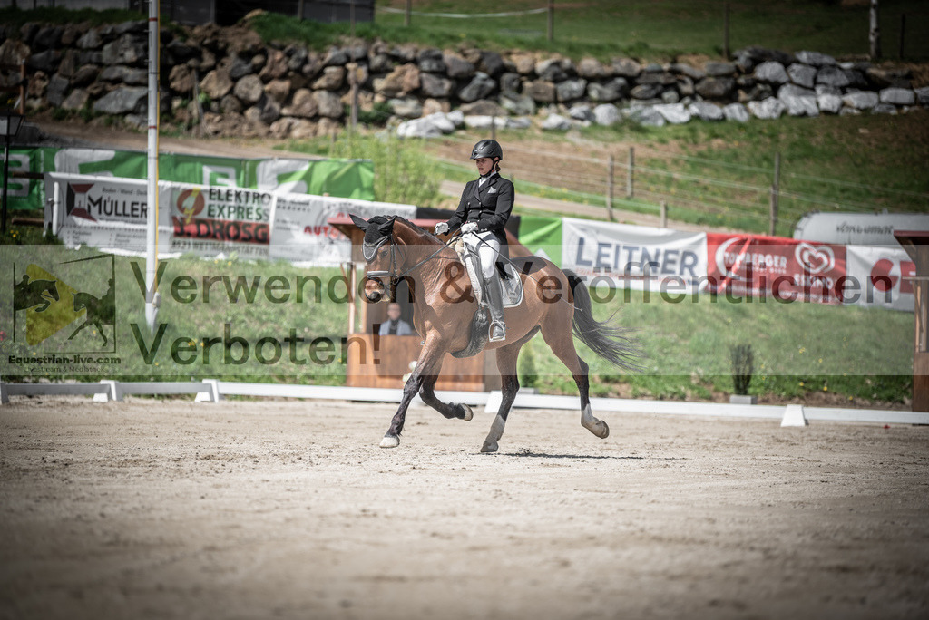 DSC_2113 | equestrian-live-com