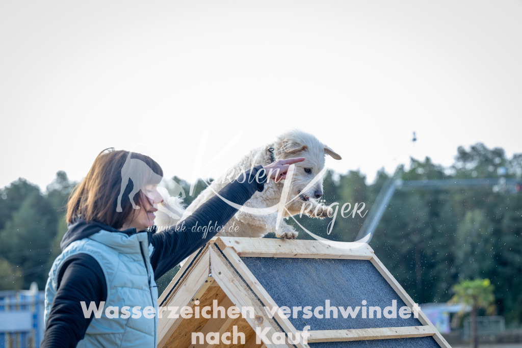 0955_ZZ93100 | kk-dogfotos