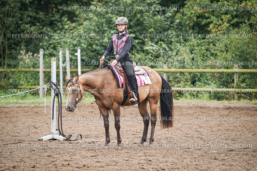 DSC02463 | Pferdegrafie