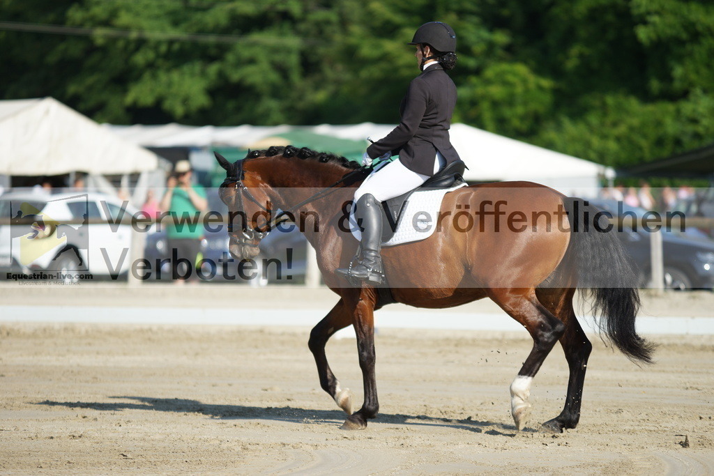 DSC04095 | equestrian-live-com