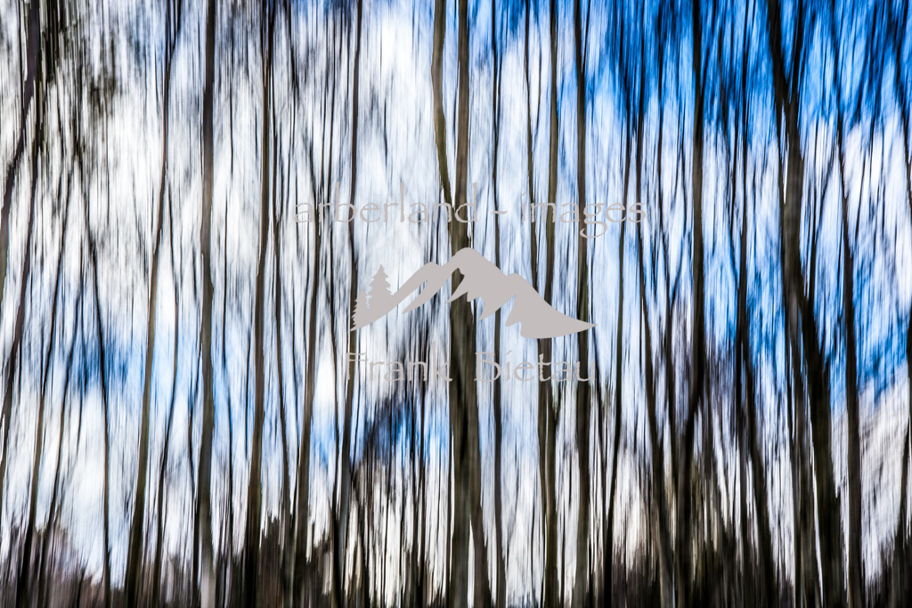 _MG_5042 | Medien- Sport- Entertainmentfotos