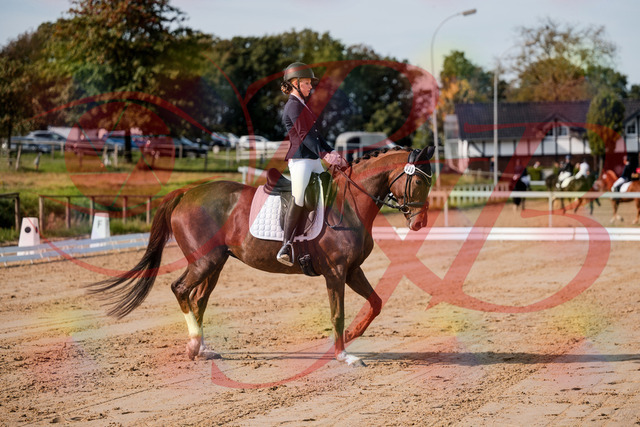 2026_10_03_Siefer-Hof_114722_Z63_25934849 | Professionelle Reitsport-, Turnier- und Eventfotografie von Robert Broda. Galerien mit ausgewählten und bearbeiteten Bildern direkt online ansehen und bestellen.