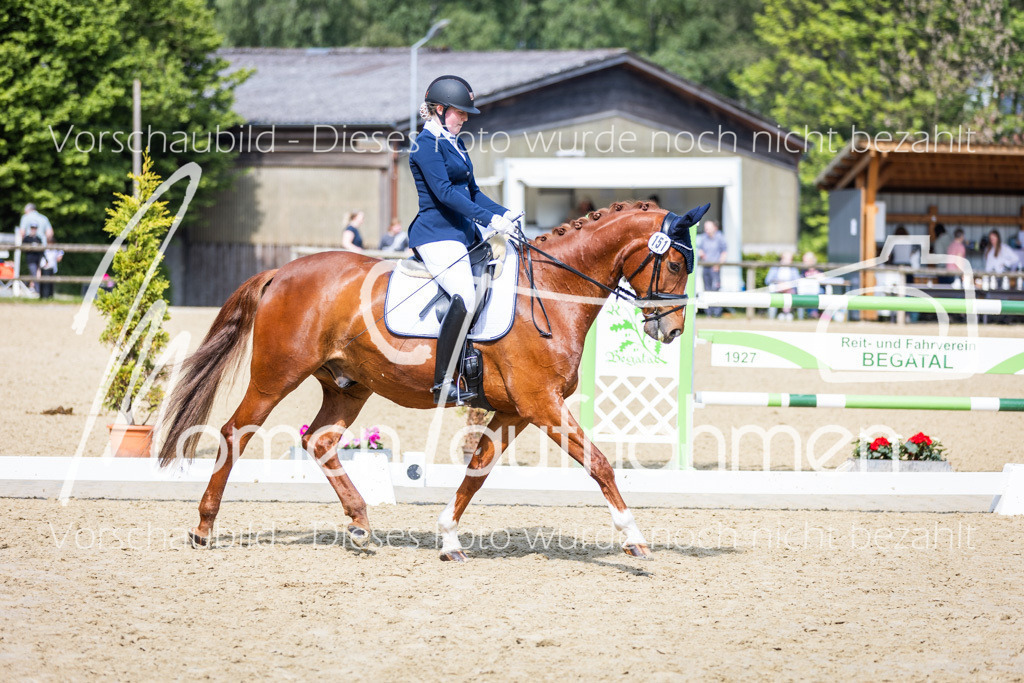 Donop24-L-Dre-002 | MomenTaufnahmen Pferdesportfotos