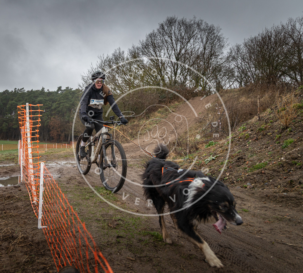 0L8A9029 | Hundefotografie, Tierfotograf, Pfotenfotografie, Fotoshooting Hund, Hunde Portrait, Hundesport, Hundeportraits, Heideshooting, Hunde, Sportfotograf, Hundefotograf, Turnierhundsport, THS,  - Realisiert mit Pictrs.com