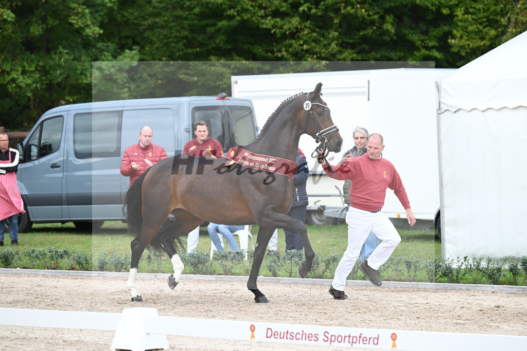 Kat-Nr. 29 Vjera_Gestuet Greim_49221096 | hf-fotografie - Realizzato con Pictrs.com