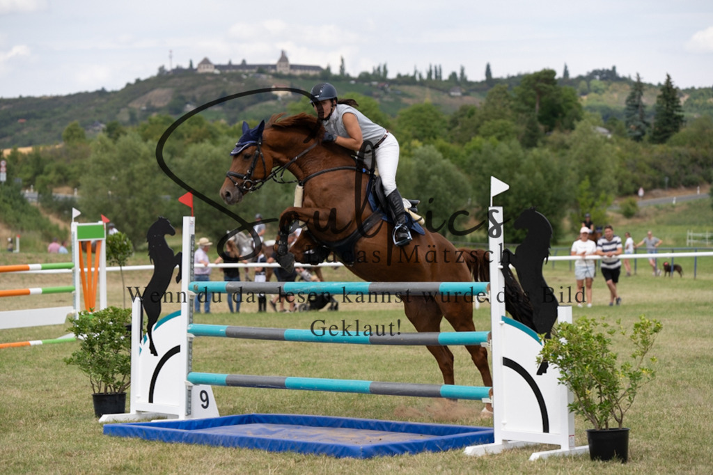 A7V02404 | Pferdefotograf