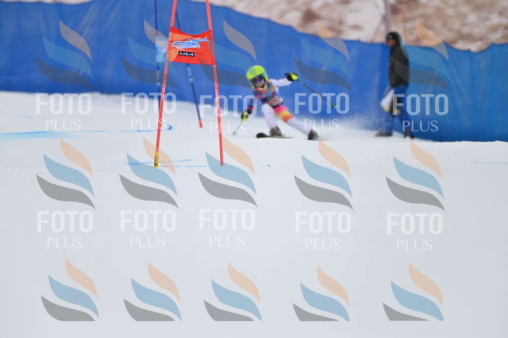 BGV_2314 | holidayphoto