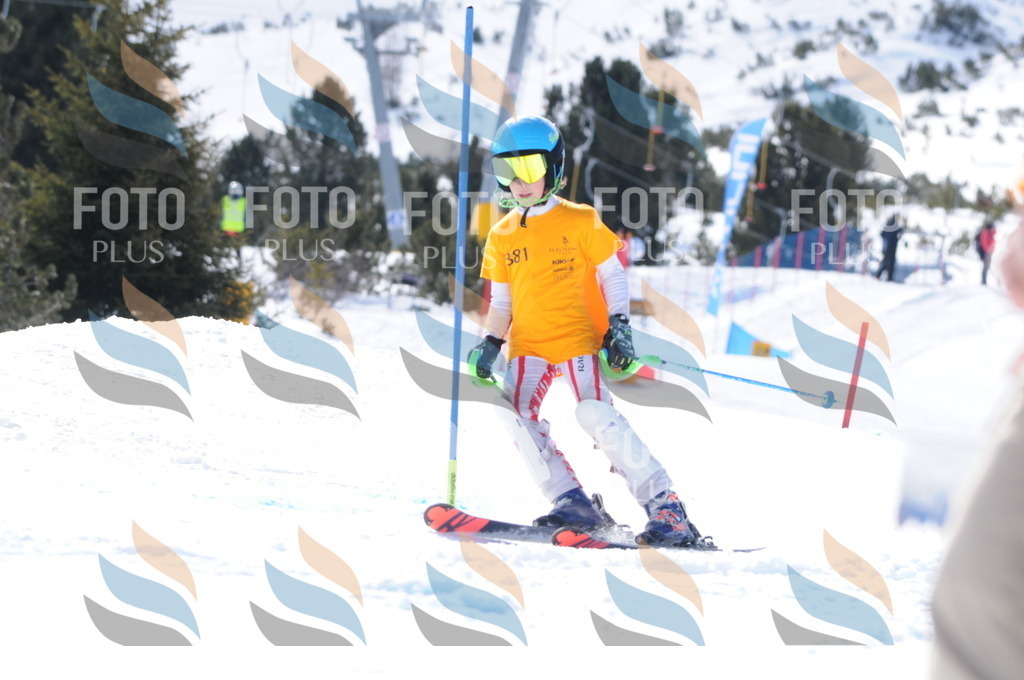 C9117 | holidayphoto