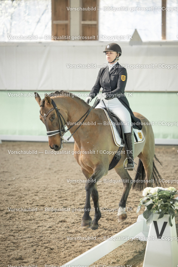 _D5A2290 | Emotionale Pferde- & People-Fotografie rund um Heidelberg, Leimen & Umgebung. Natürliche Fotos von Pferd, Mensch & Familie. Jetzt Termin sichern!