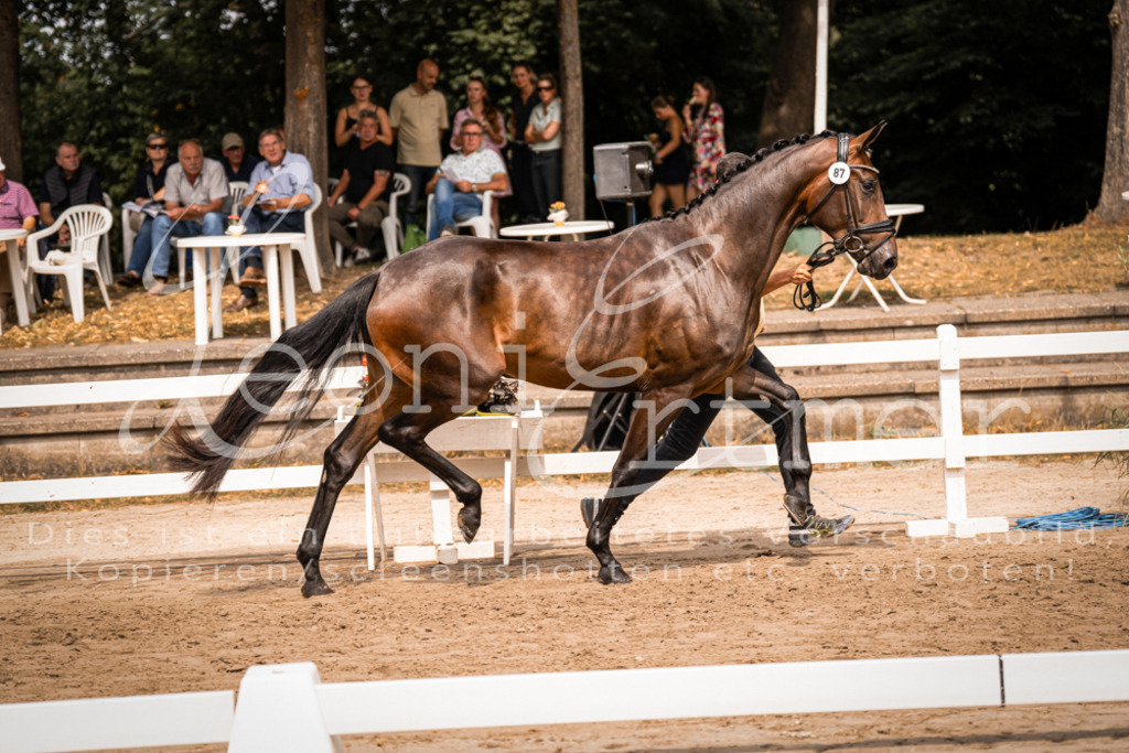 5.Fr00080 | Leoni Ertmer Photography - Realisiert mit Pictrs.com