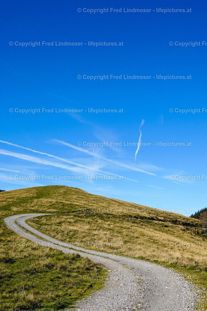 Schoeneben_Proles_Koenigskogel_Duerriegelalm_DSC09343 | Fotos und Fotoprodukte - Realisiert mit Pictrs.com